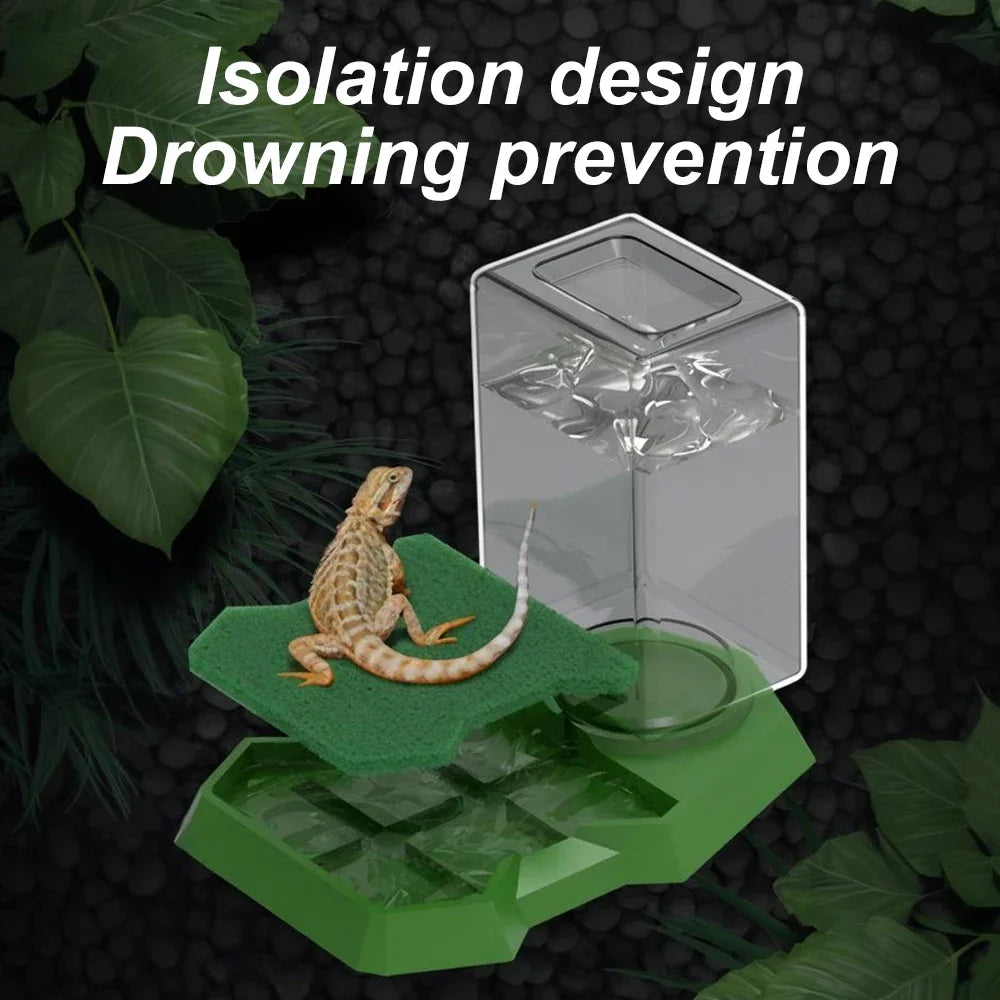 Automatic Reptile Feeder and Corner Water Bowl with Integrated Water Bottle for Small Pets, Including Turtles, Lizards, and Geckos
