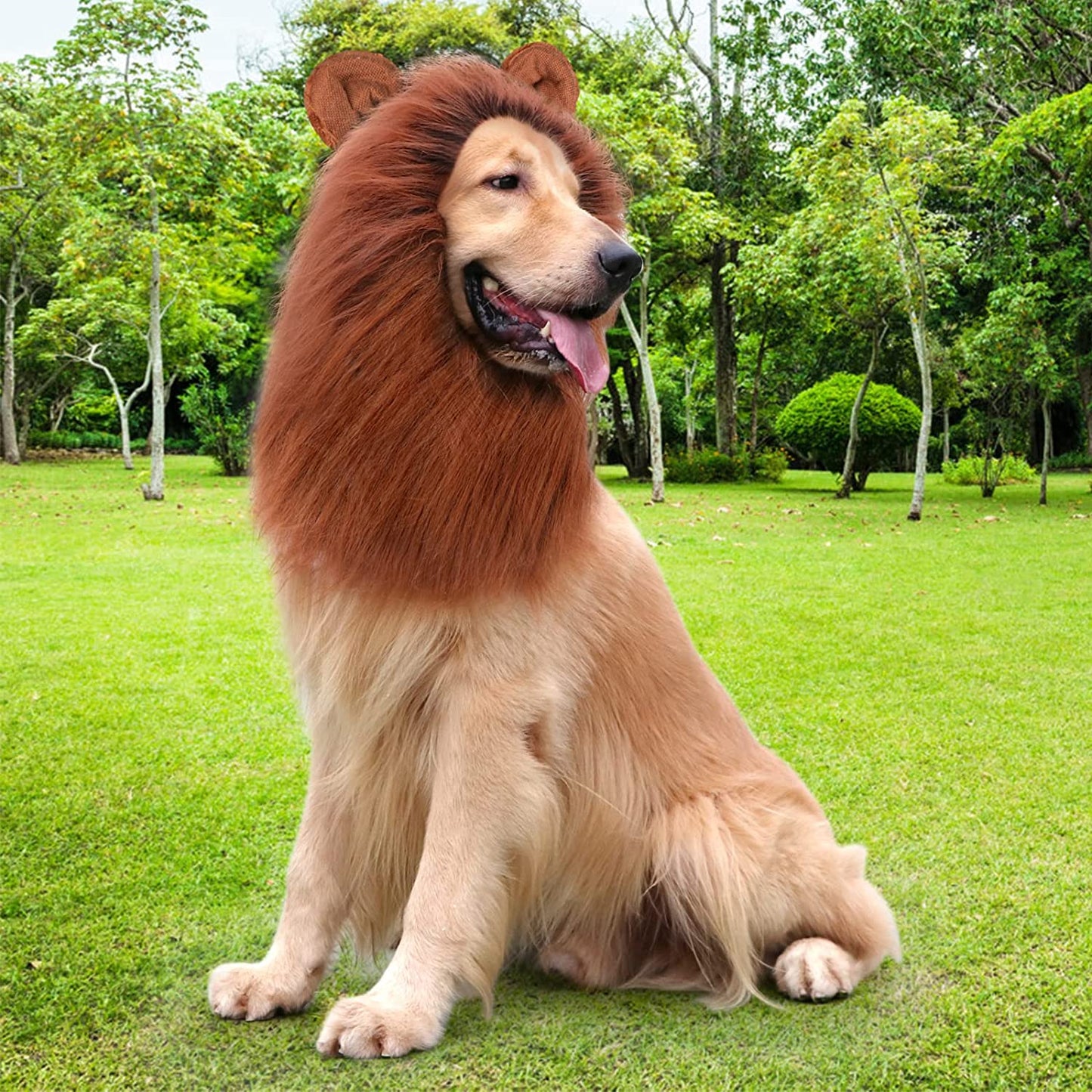 Realistic Lion Mane Wig for Medium to Large Dogs - Halloween Costume Accessory (Dark Brown)