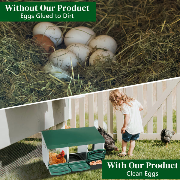 3-Compartment Chicken Feeding Trough