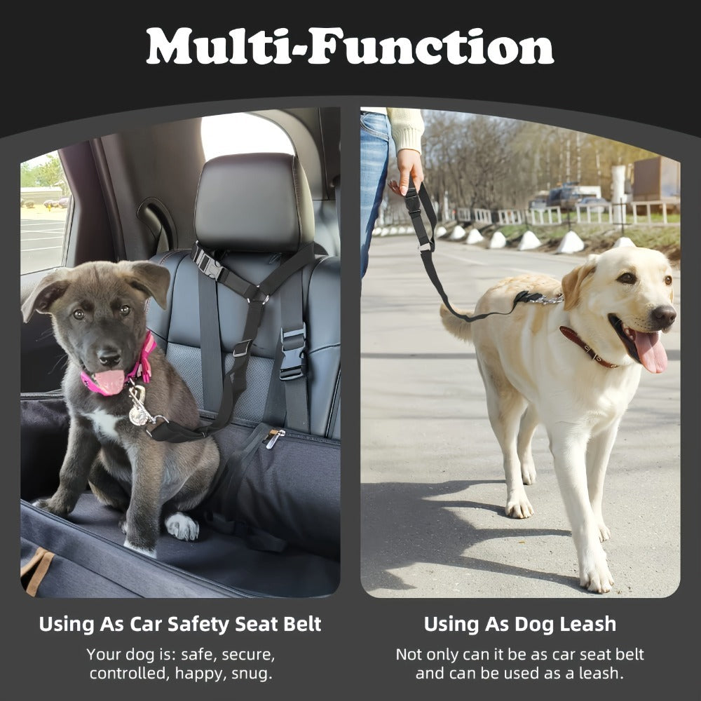 Two - Piece Dog Leash Set