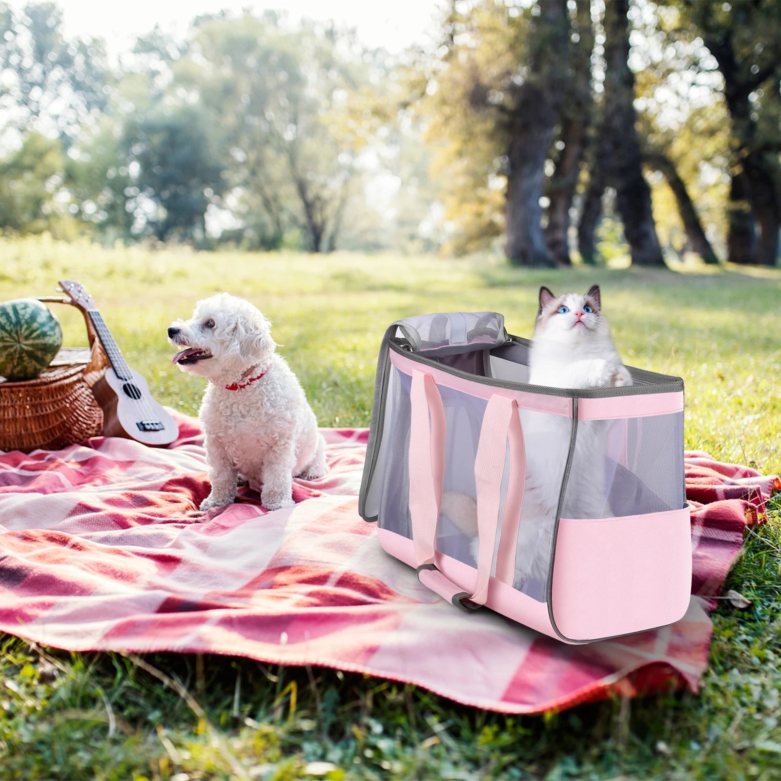 Stylish and Practical Portable Pet Carrier Handbag for Cats and Small Dogs - Ideal Outdoor Shoulder Tote