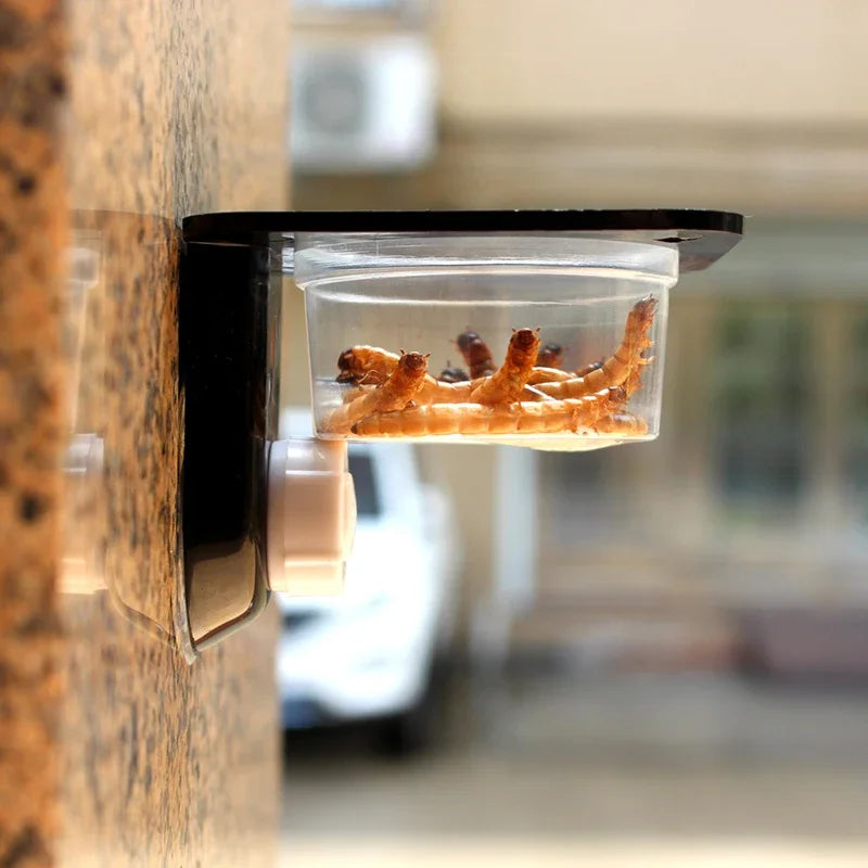 Reptile Terrarium Breeding Bowl - Ideal Feeding and Water Container for Spiders, Ants, Geckos, and Snakes