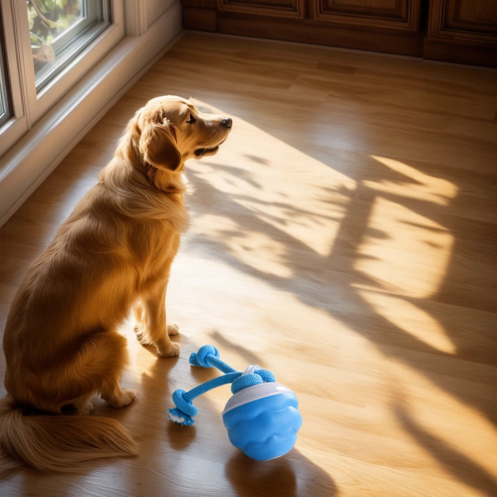 Electric Rolling Ball Interactive Pet Toy with Rope Motion - USB Rechargeable Exercise Toy for Dogs and Cats