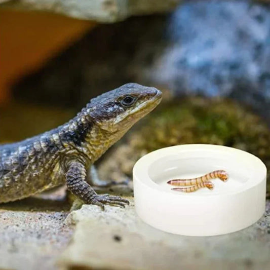 Ceramic Feeding and Water Bowl for Reptiles - Anti-Escape Dish for Hermit Crabs, Leopard Geckos, Chameleons, and Corn Snakes