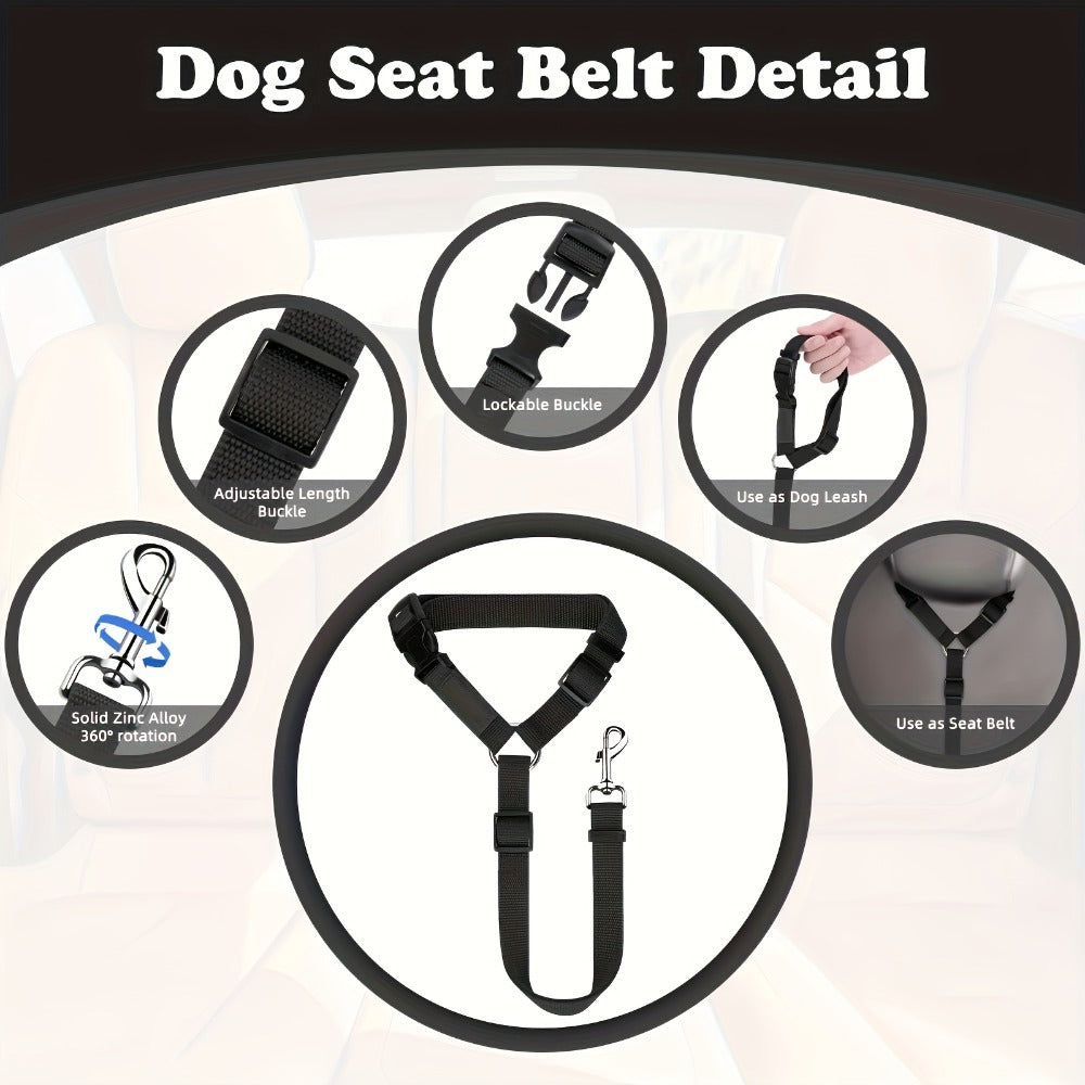 Two - Piece Dog Leash Set
