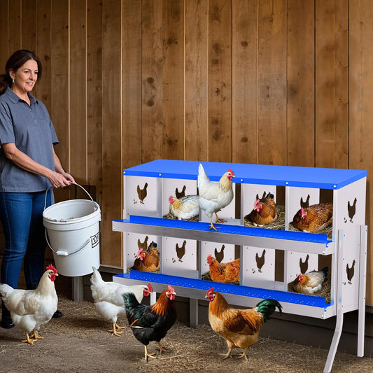 Metal Chicken Nesting Boxes with Roll-Away Functionality, Offered in 6, 8, or 10 Holes, Complete with Lid Cover for Enhanced Egg Protection