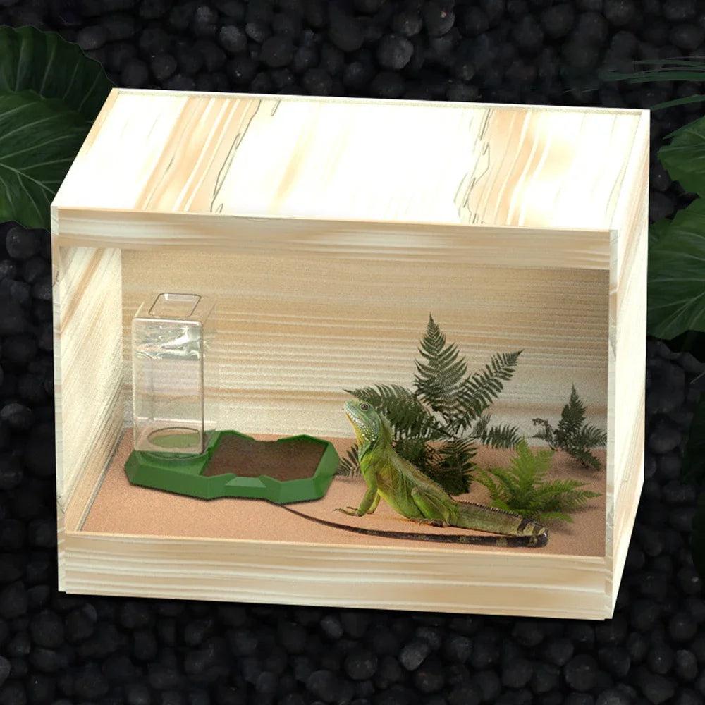 Automatic Reptile Feeder and Corner Water Bowl with Integrated Water Bottle for Small Pets, Including Turtles, Lizards, and Geckos