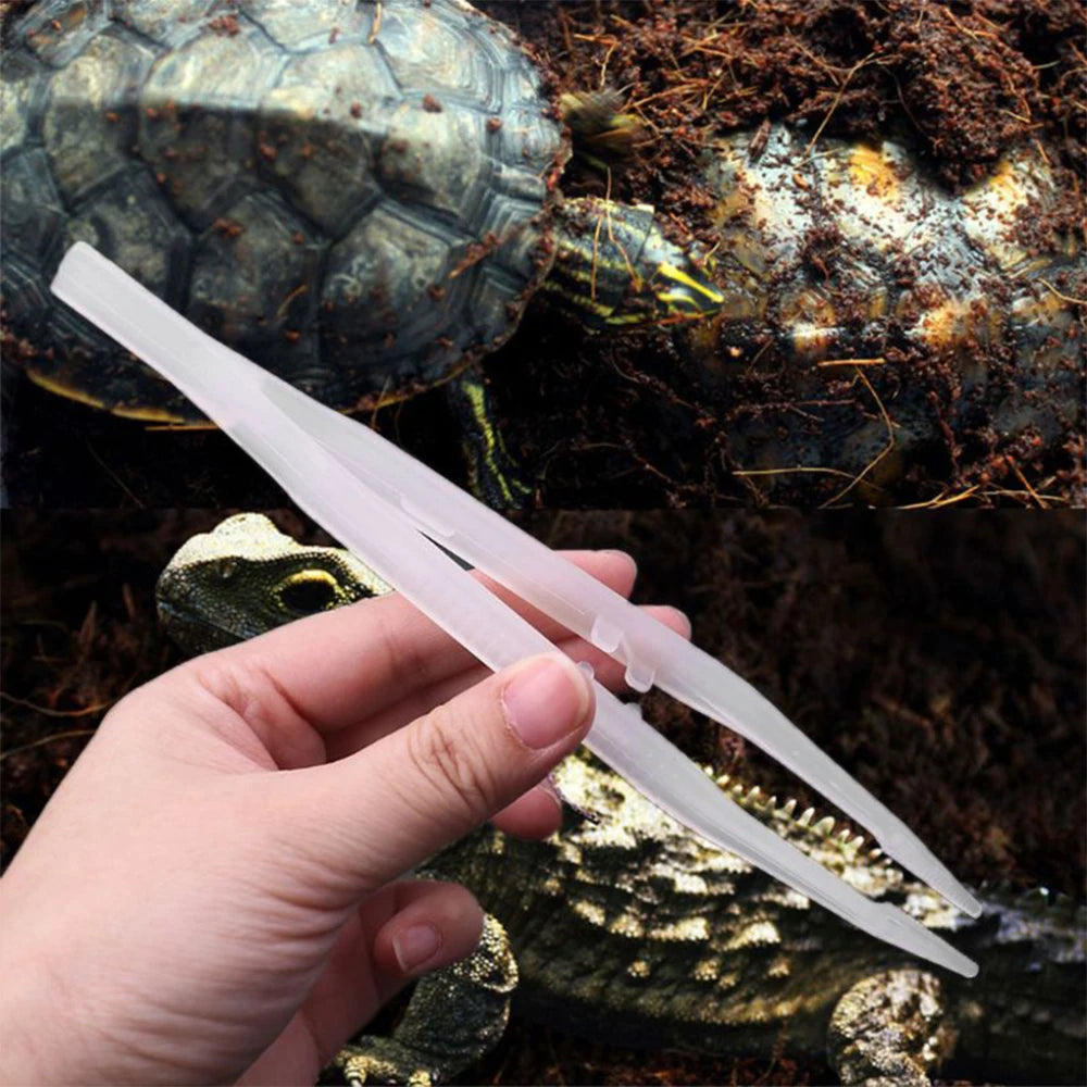 Noctilucent Tweezers for Reptile Care - Durable, Rust-Resistant Feeding and Cleaning Tools for Lizards, Geckos, Turtles, Snakes, and Spiders