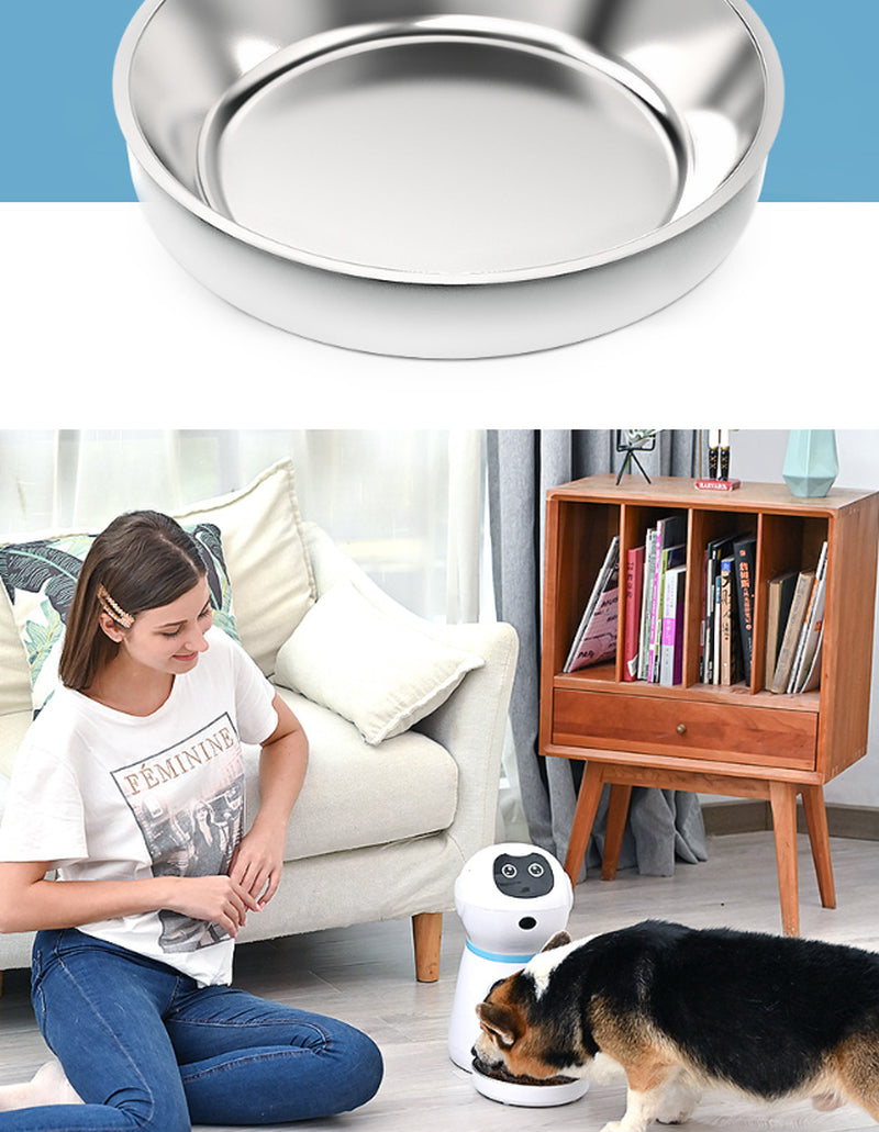 Automated Pet Feeding System