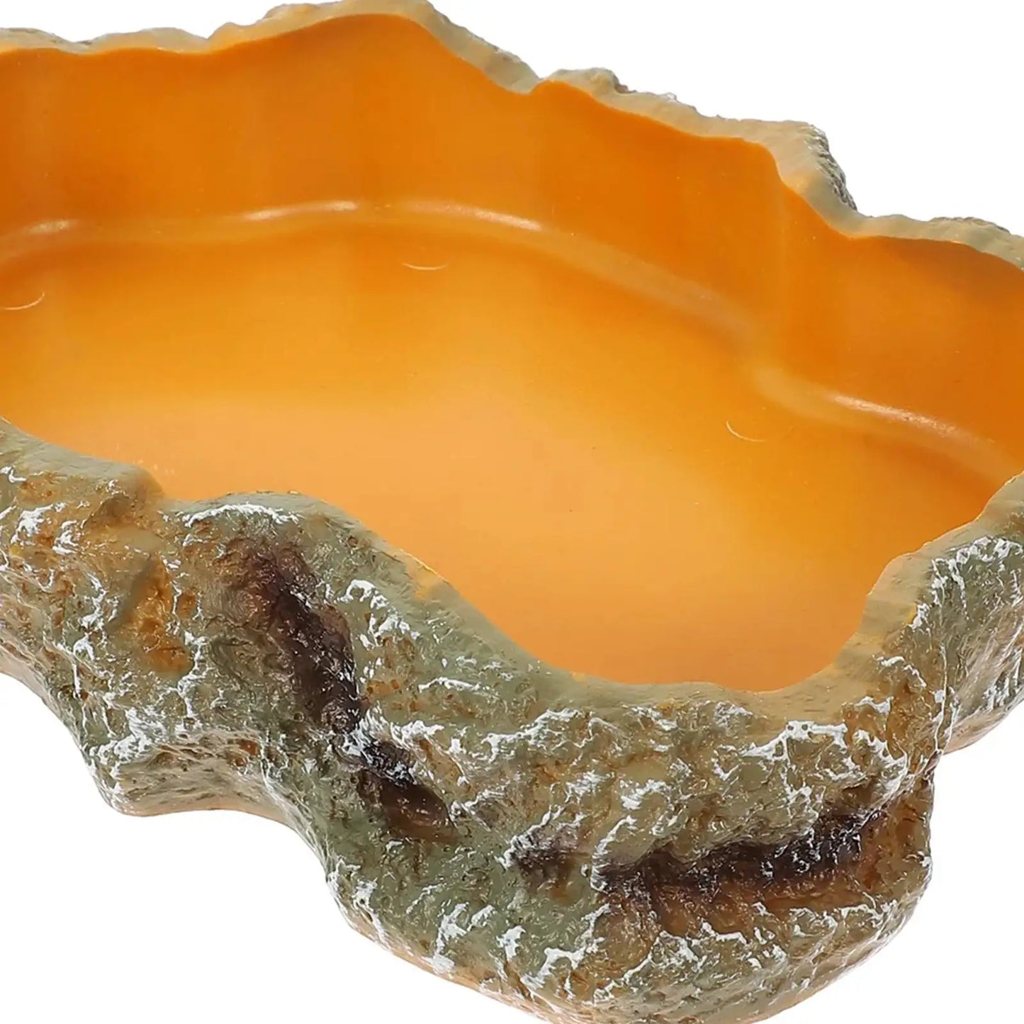 Premium Reptile Water and Feeding Bowl for Terrariums - Ideal for Frogs, Chameleons, Tortoises, Bearded Dragons, and Turtles