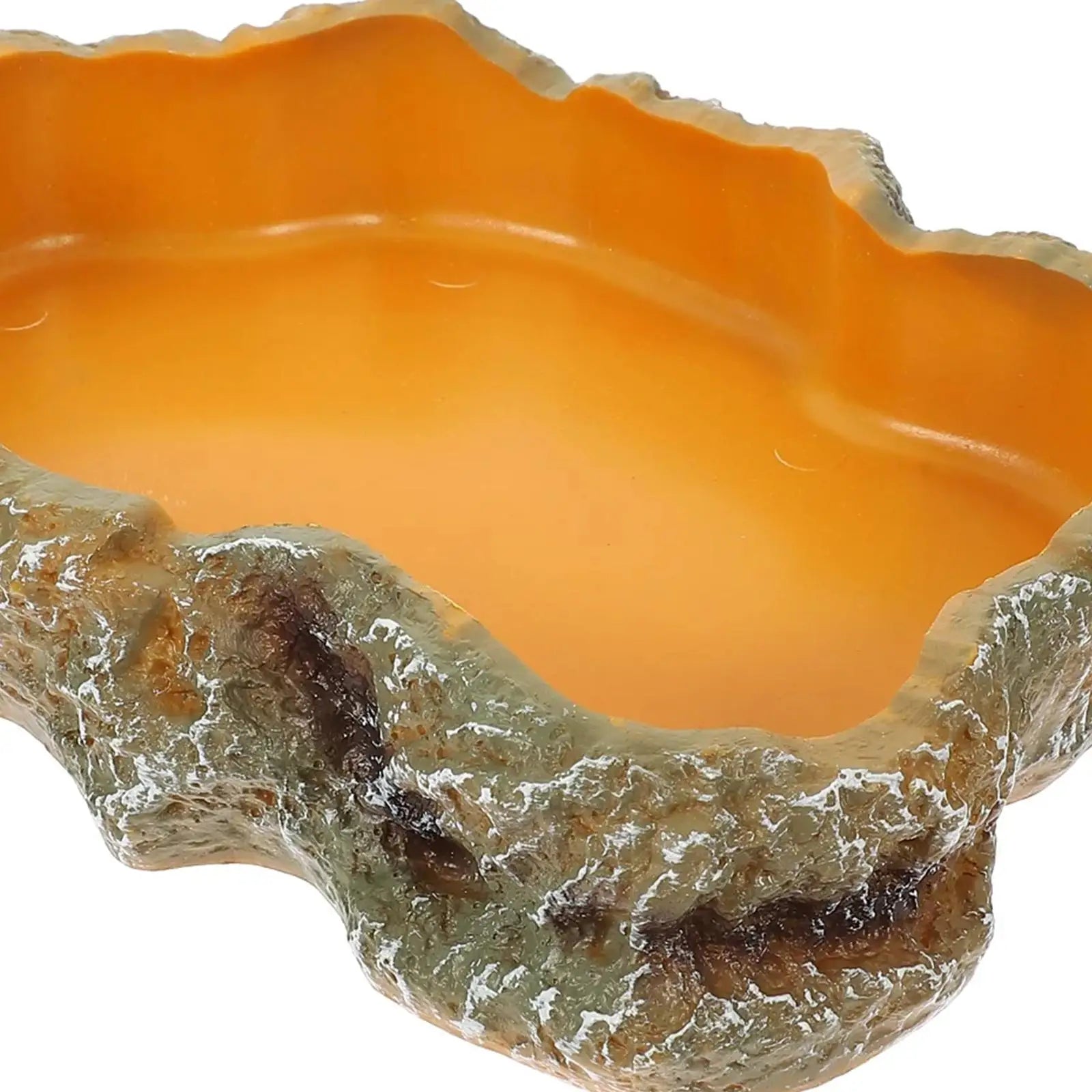 Premium Reptile Water and Feeding Bowl for Terrariums - Ideal for Frogs, Chameleons, Tortoises, Bearded Dragons, and Turtles