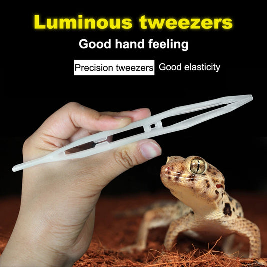 Noctilucent Tweezers for Reptile Care - Durable, Rust-Resistant Feeding and Cleaning Tools for Lizards, Geckos, Turtles, Snakes, and Spiders