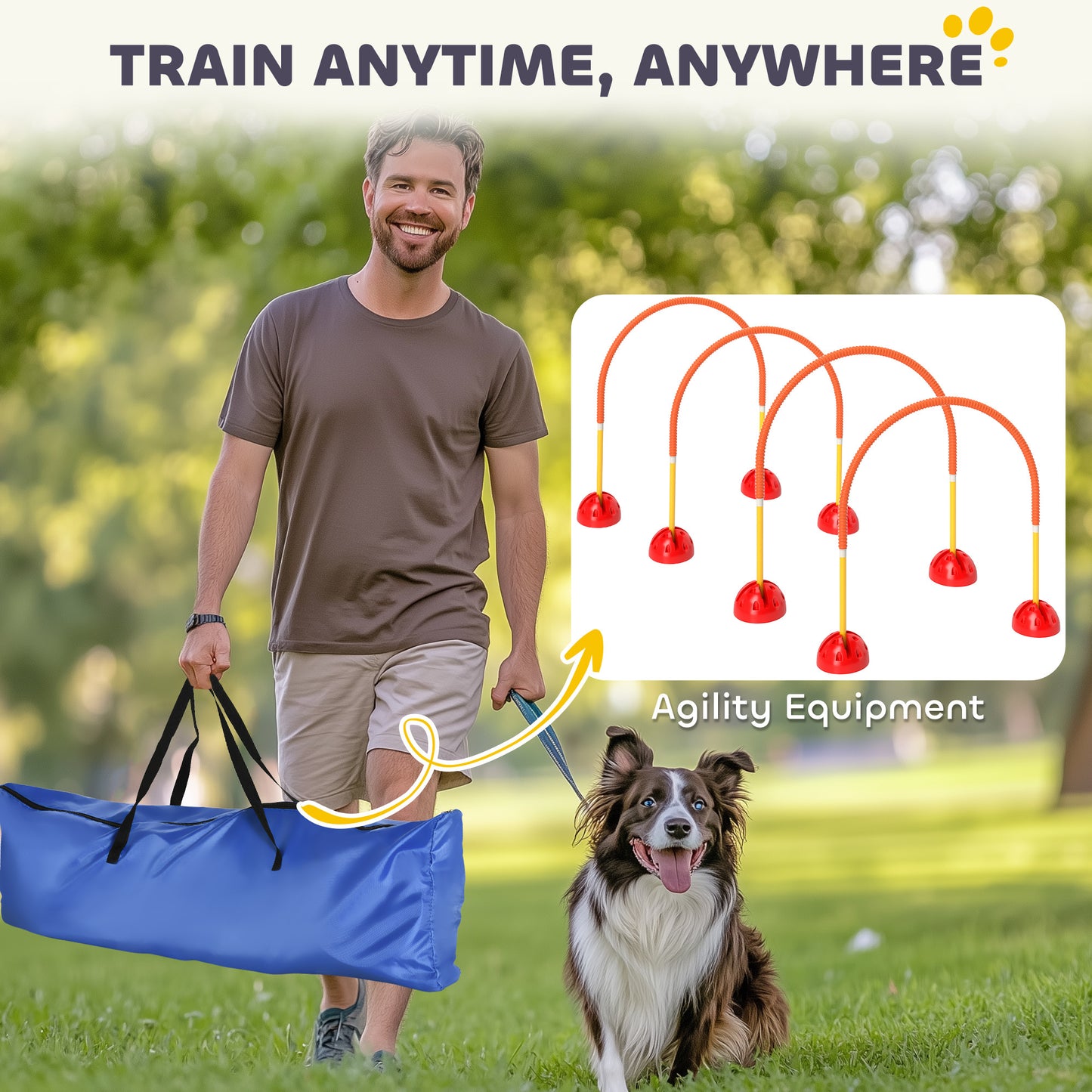 Dog Agility Equipment