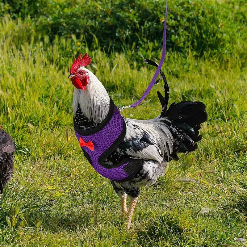 Premium Poultry Harness and Collar Set with Comfortable Leashes and Breathable Design for Chickens and Ducks