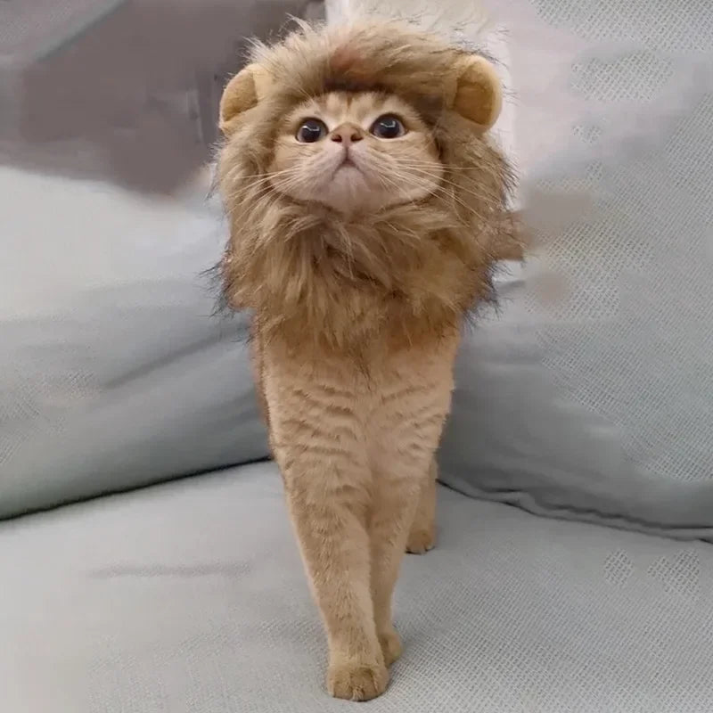 Cat Lion Mane Halloween Costume for Small Cats and Kittens - Ideal for Halloween, Cat Birthdays, and Cosplay Events