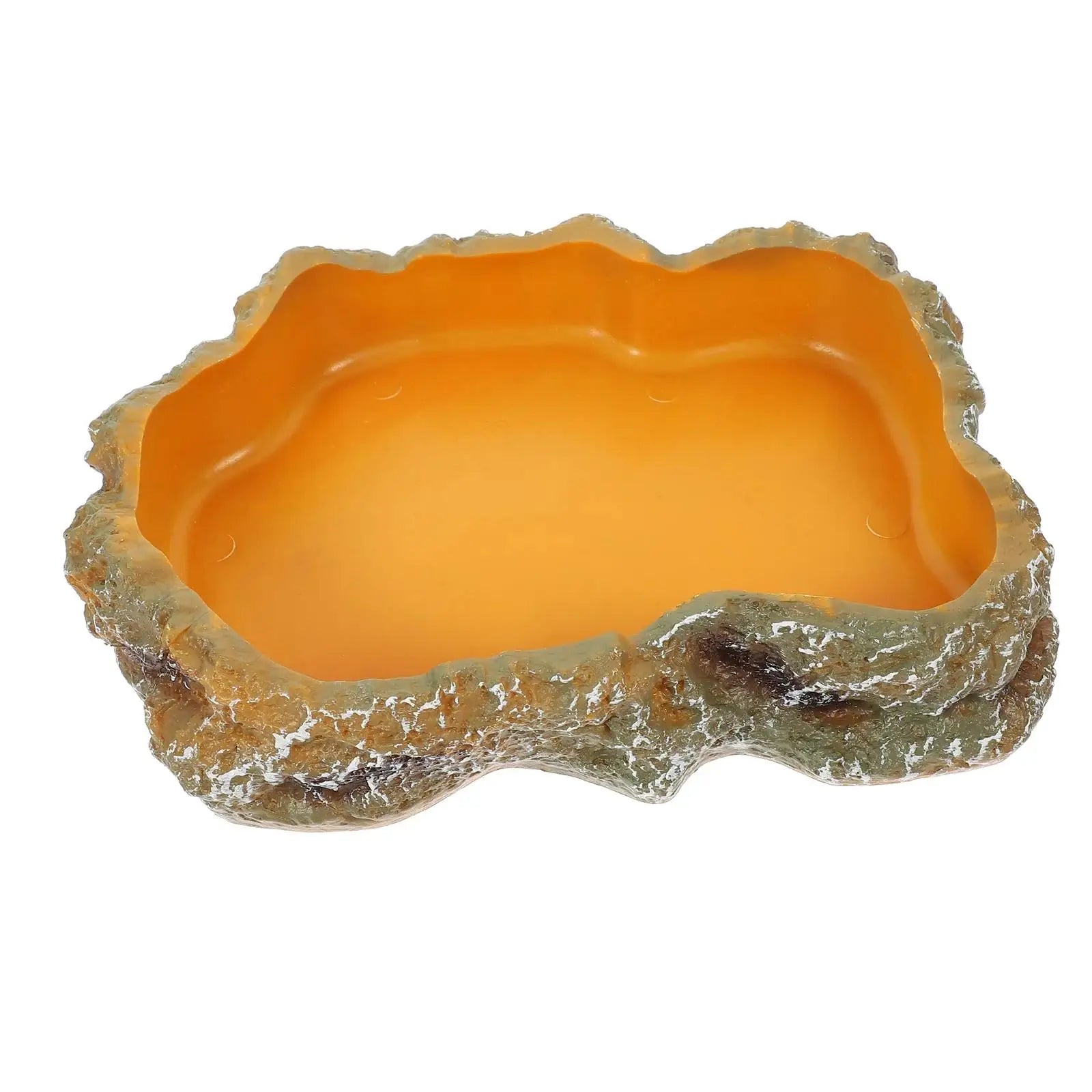 Premium Reptile Water and Feeding Bowl for Terrariums - Ideal for Frogs, Chameleons, Tortoises, Bearded Dragons, and Turtles