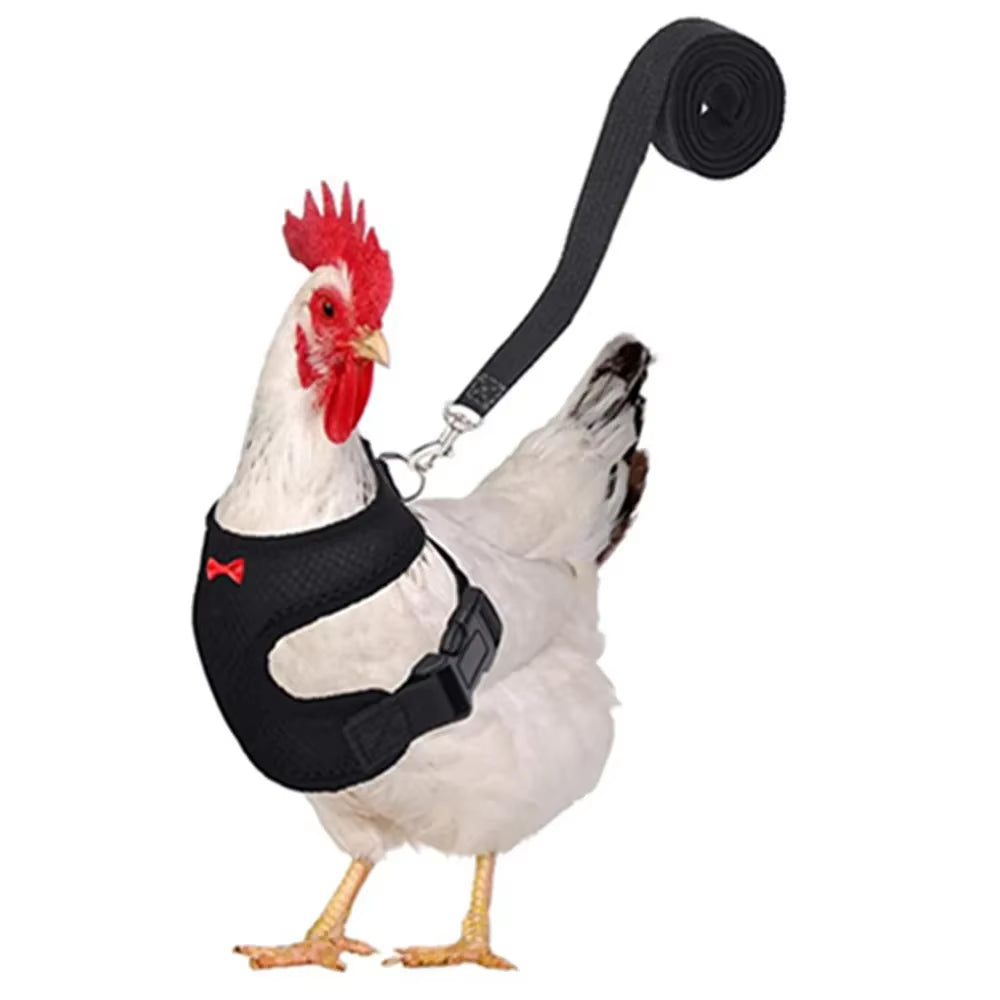 Premium Poultry Harness and Collar Set with Comfortable Leashes and Breathable Design for Chickens and Ducks