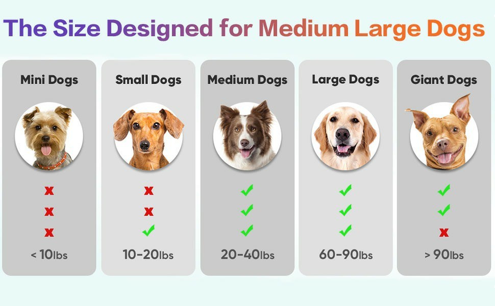 Automatic Rolling Interactive Dog Toy