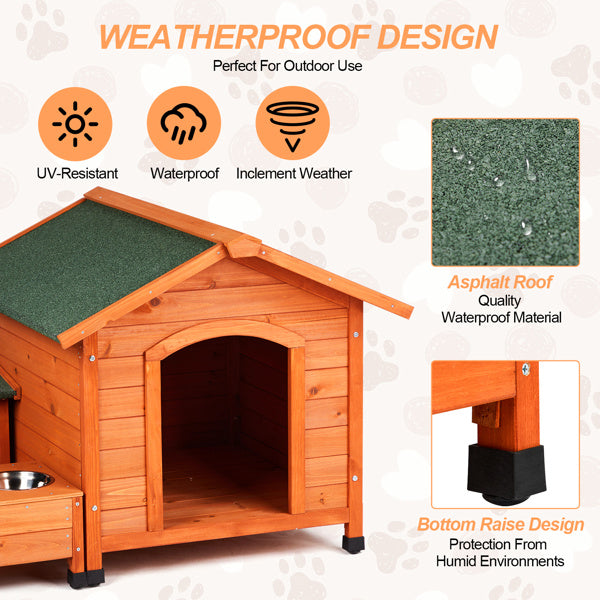 Green Asphalt Roof Golden Red Main Body Fir House Cat And Dog House