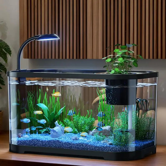Aquarium Kit for Small Betta Fish - User-Friendly Desktop Tank for Home Use, Ideal for Betta Fish, Tortoises, and Frogs