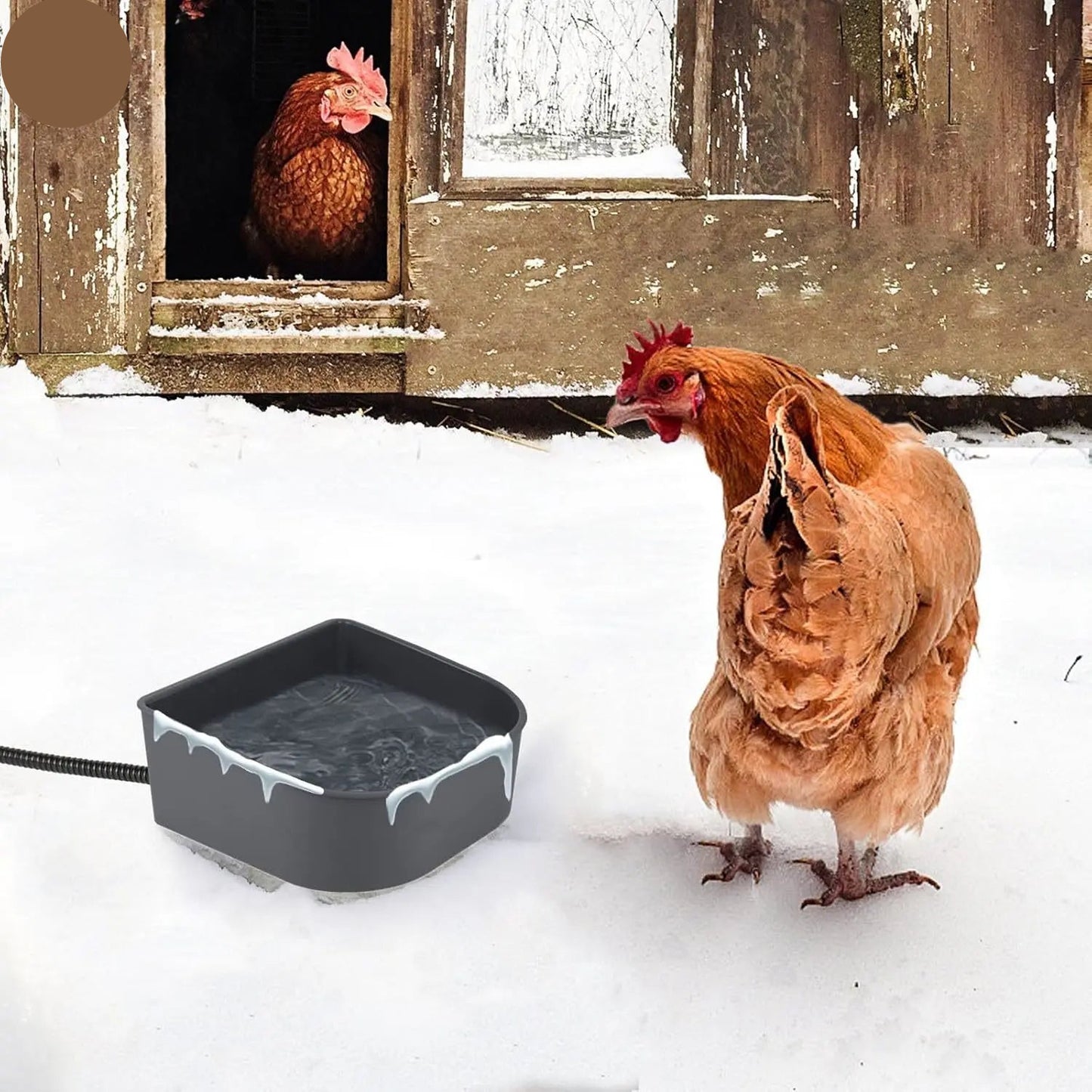 1L Heated Pet Bowl for Cats, Rabbits, and Birds - Versatile Indoor/Outdoor Ice-Free Water Solution for Dogs and Poultry