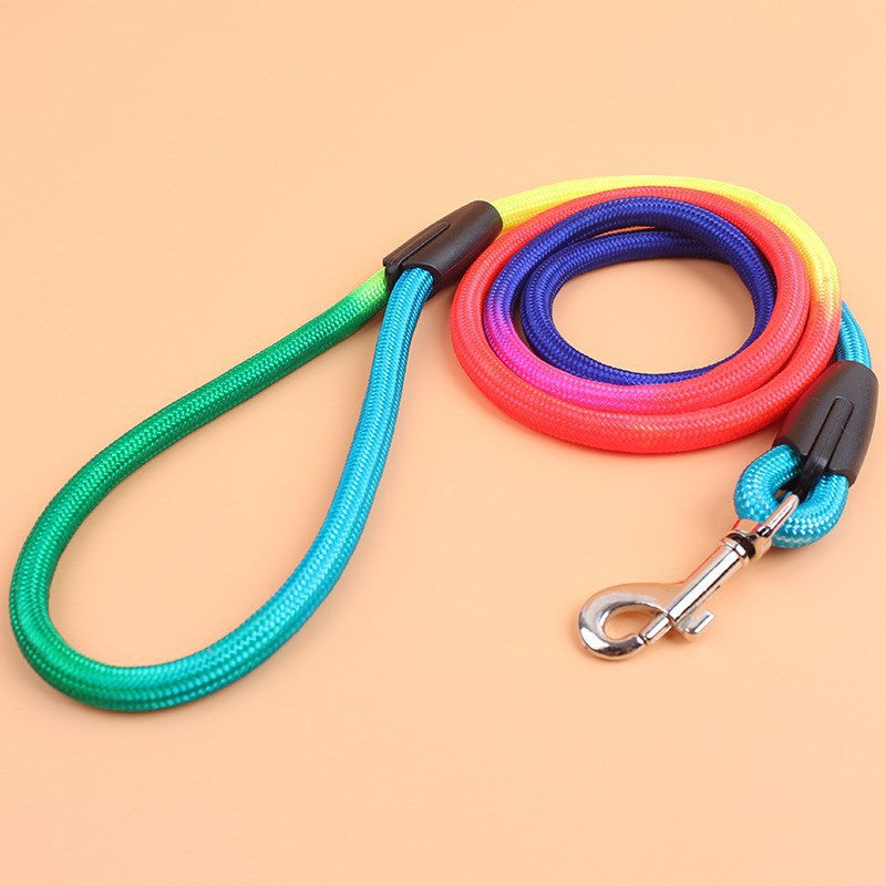 Vibrant Nylon Round Dog Leash for Pet Enthusiasts