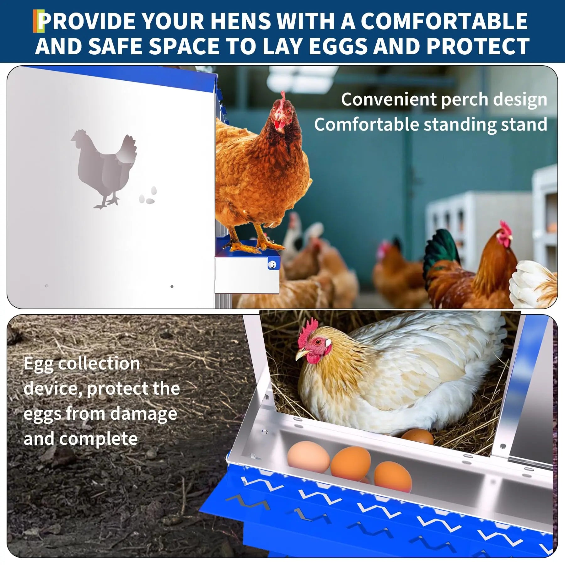 Metal Chicken Nesting Boxes with Roll-Away Functionality, Offered in 6, 8, or 10 Holes, Complete with Lid Cover for Enhanced Egg Protection