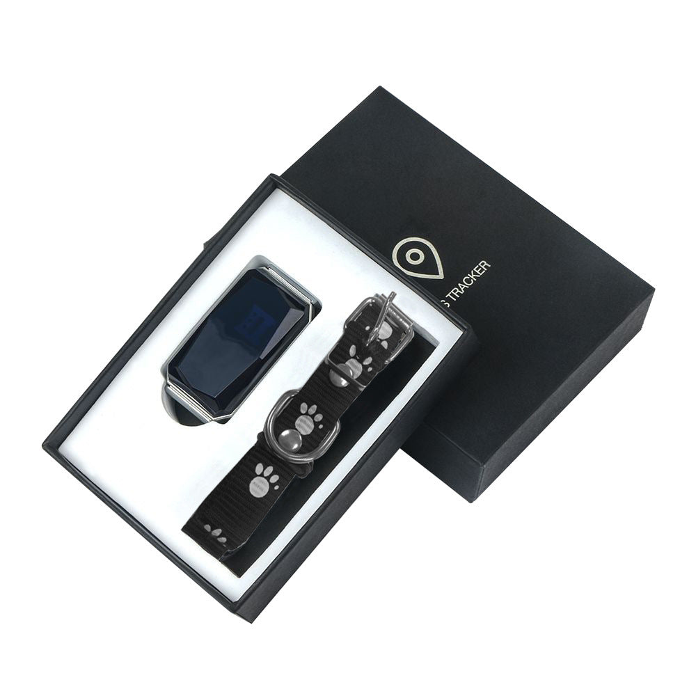 Advanced GPS Tracking System
