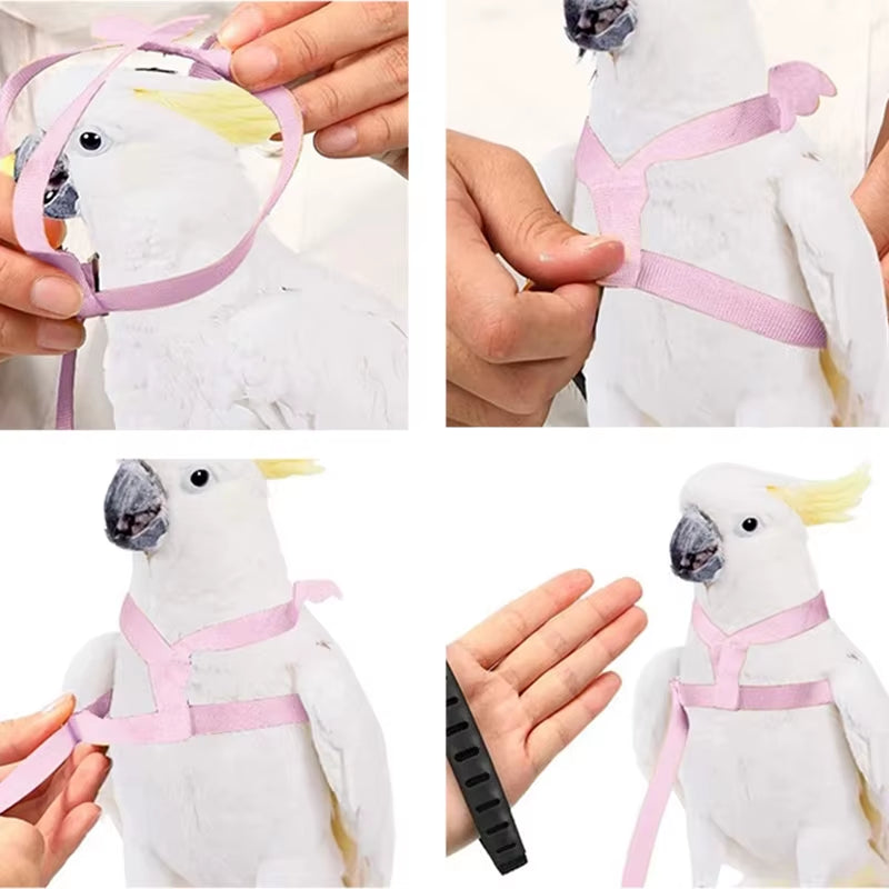 Parrot Flight Harness and Leash for Outdoor Training - Ideal for Cockatiels, Macaws, and Budgerigars