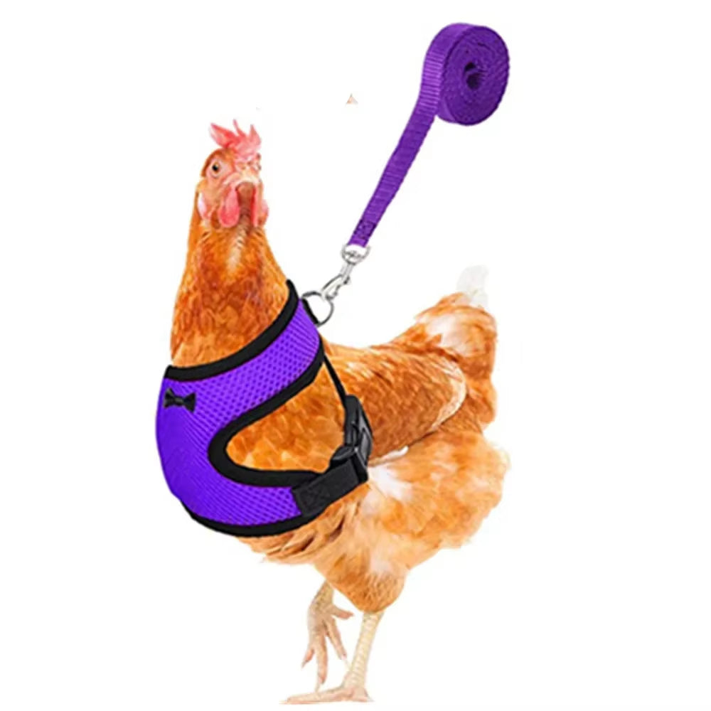 Premium Poultry Harness and Collar Set with Comfortable Leashes and Breathable Design for Chickens and Ducks