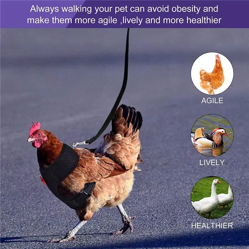 Premium Poultry Harness and Collar Set with Comfortable Leashes and Breathable Design for Chickens and Ducks