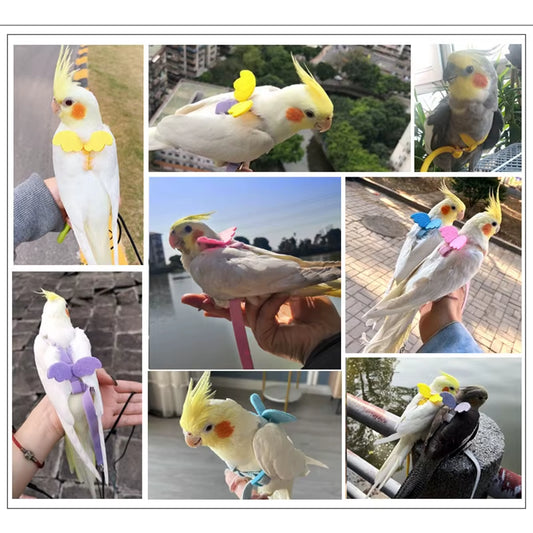 Parrot Flight Harness and Leash for Outdoor Training - Ideal for Cockatiels, Macaws, and Budgerigars