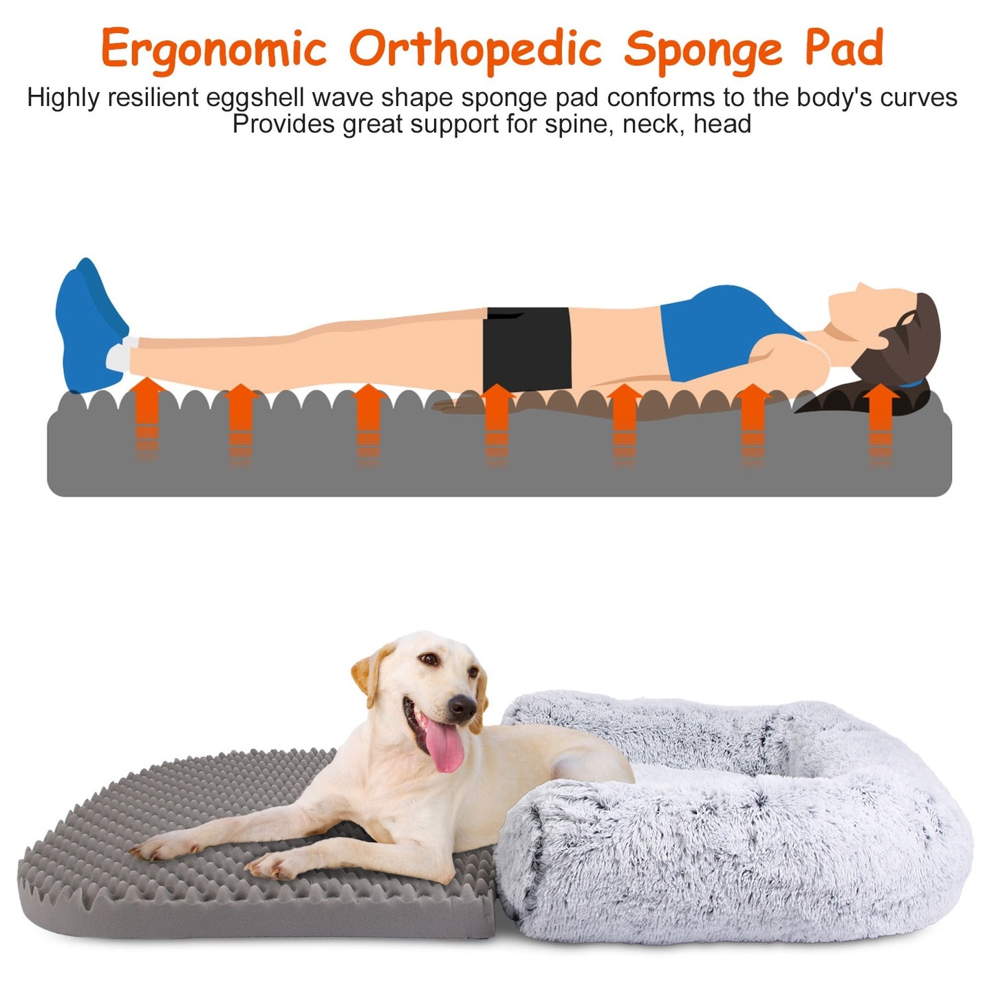 1Pc Large Foldable Human Size Dog Bed With Pillow Blanket
