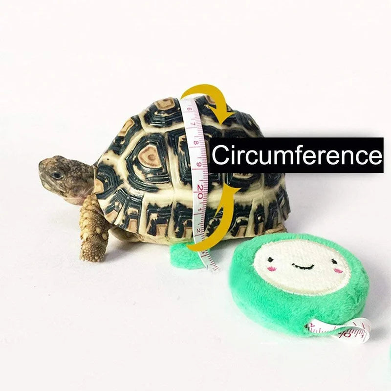Enhanced Turtle and Lizard Pet Collar and Leash with Bell for Small Reptiles and Guinea Pigs - Outdoor Activity Traction Rope